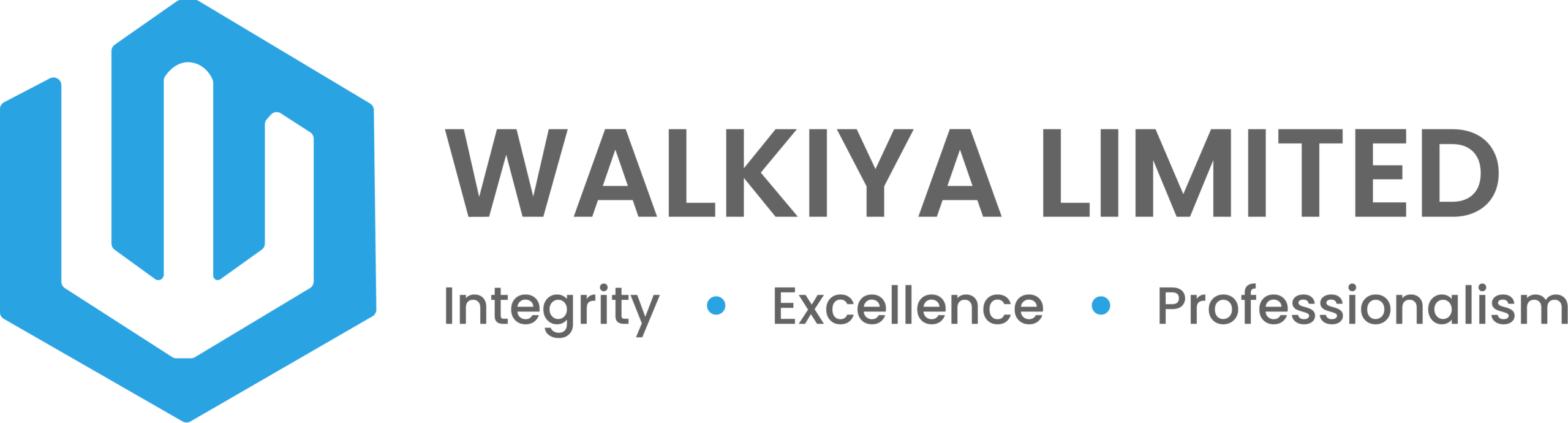 White Logo